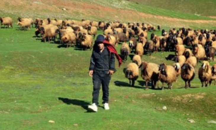 Son başvuru tarihi 13 Ocak 