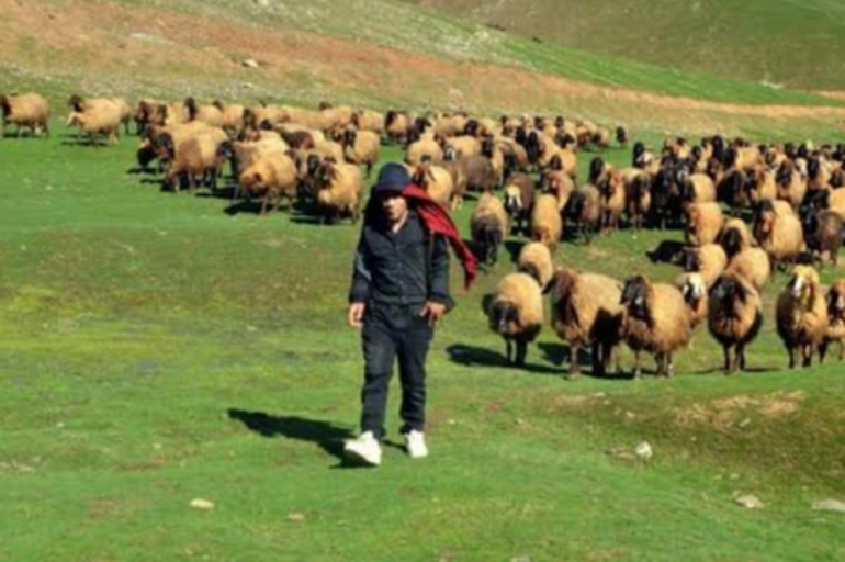 Son başvuru tarihi 13 Ocak 