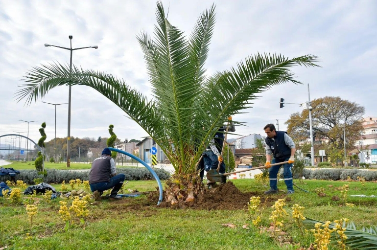 “Her şey Biga için”